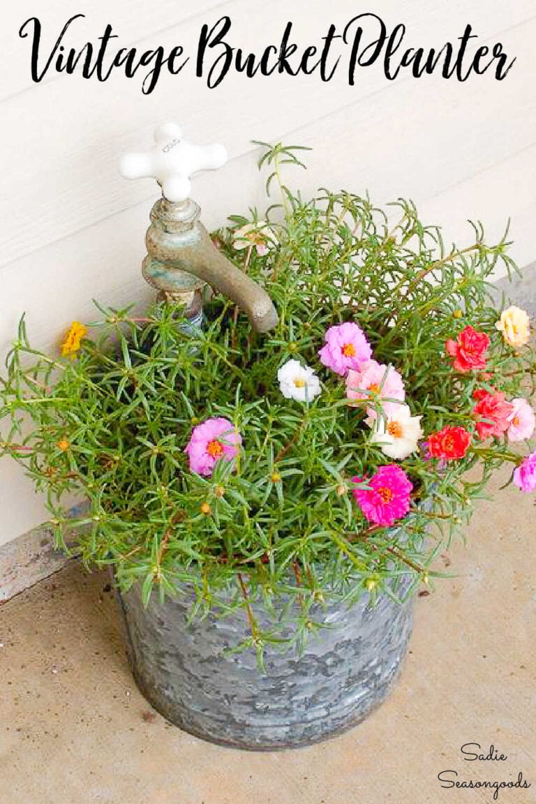 Galvanized Bucket Planter with a Decorative Hose Bibb