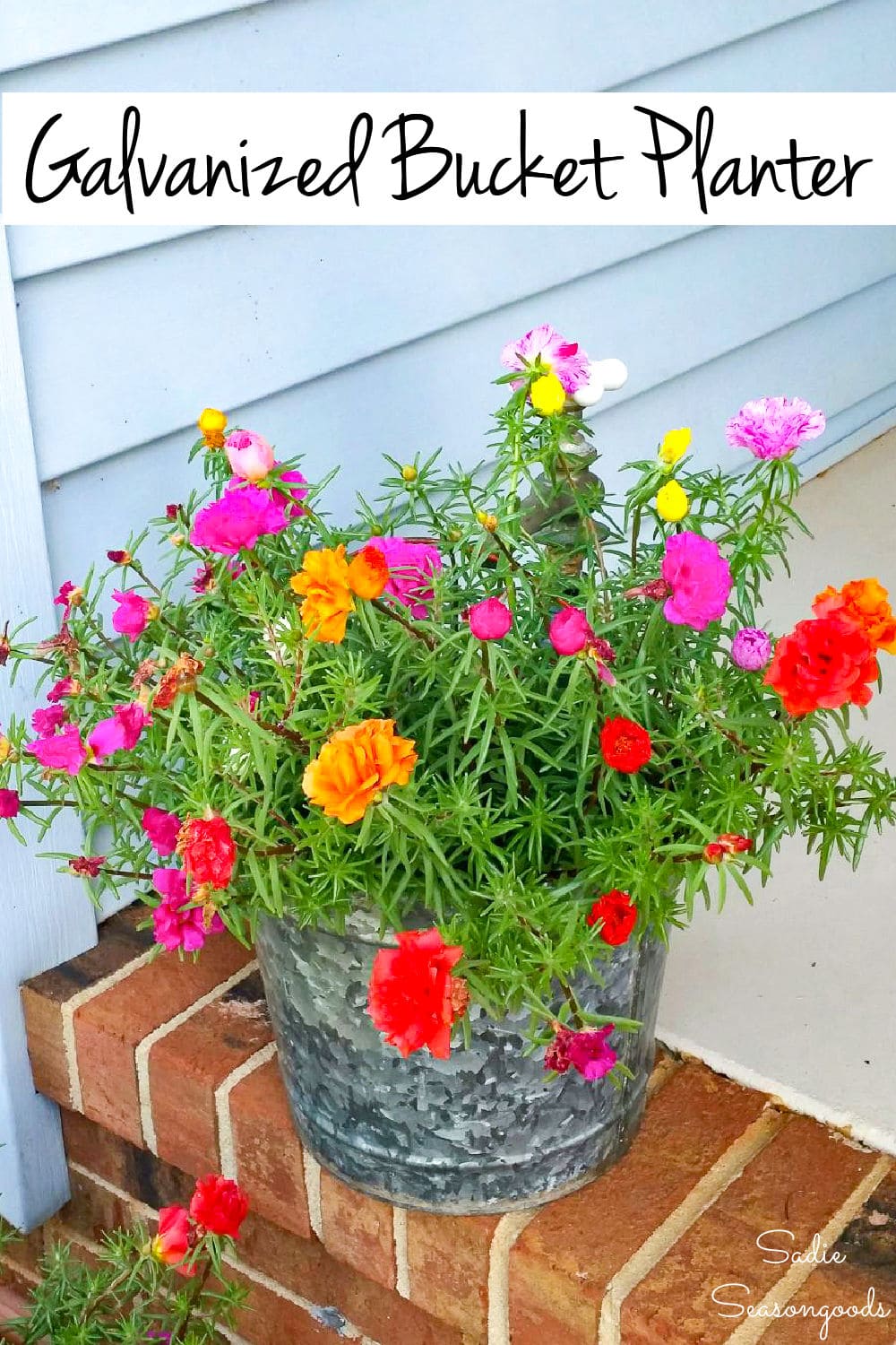 Bucket planter with a water hose spigot