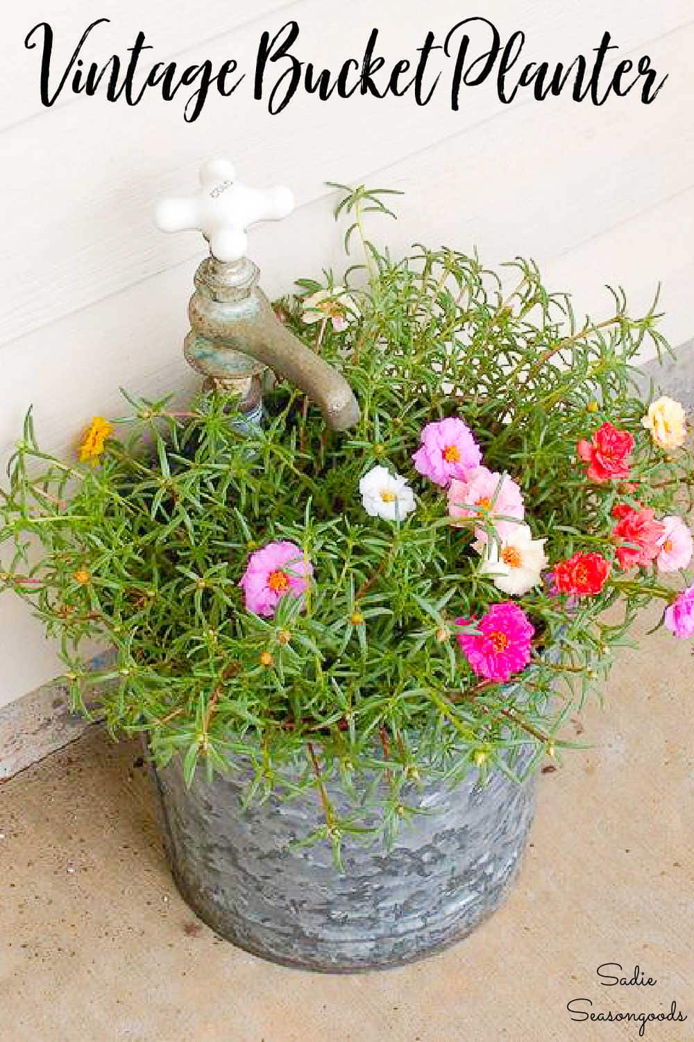 How a Simple Vintage Galvanized Bucket Can Make the Perfect Flower