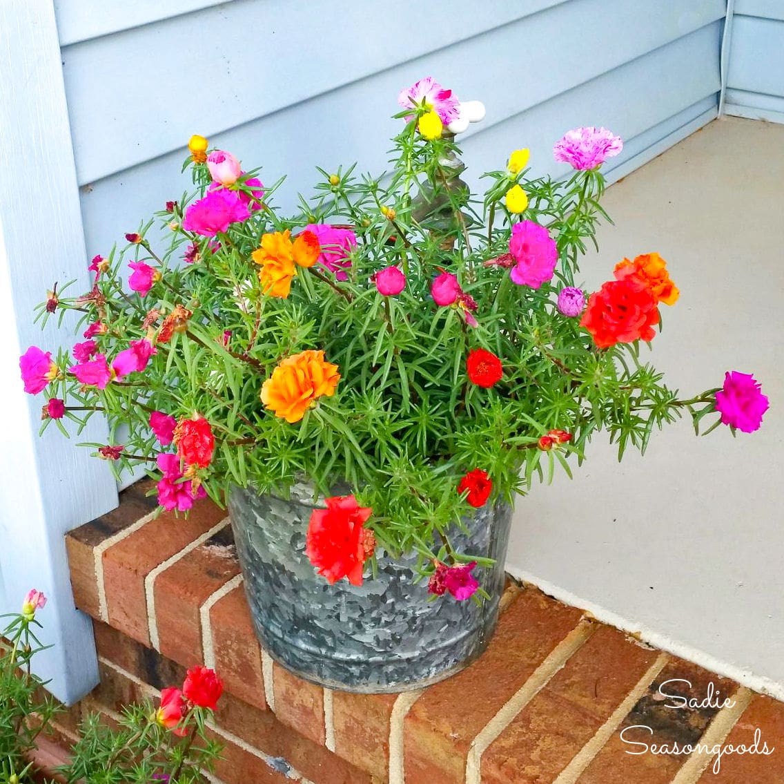 Galvanized bucket planter with a decorative hose bibb