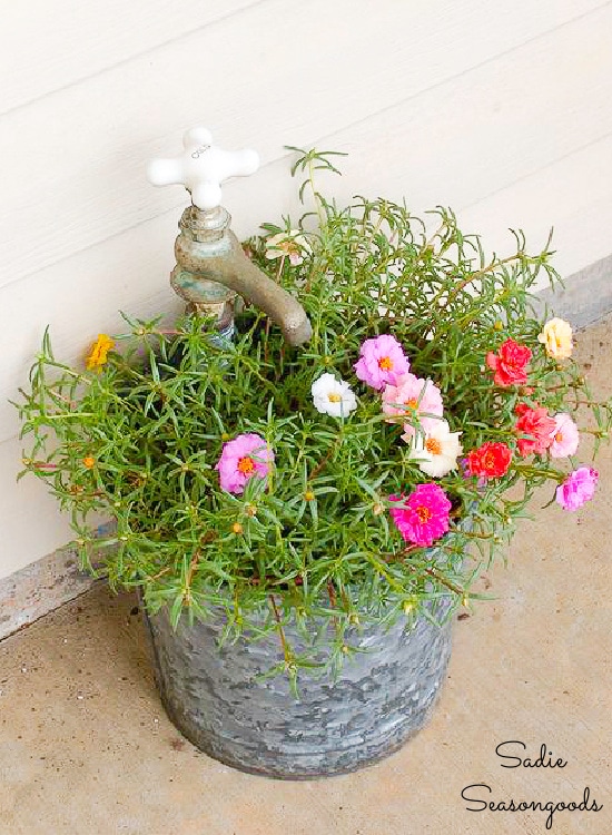 Galvanized bucket planter