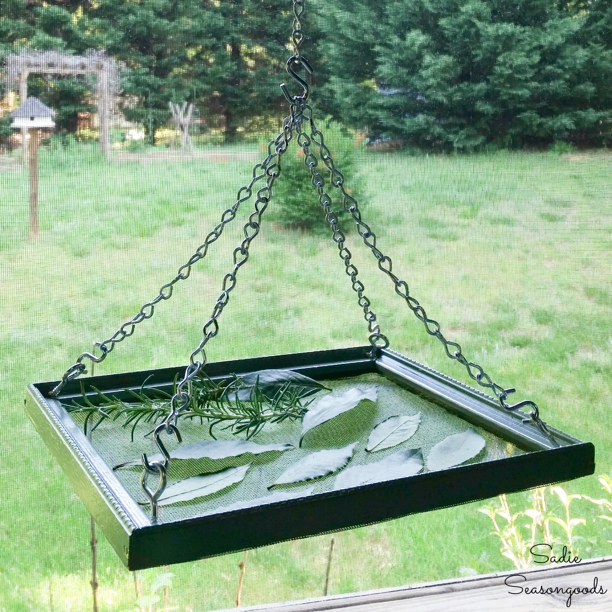 DIY herb drying rack from a repurposed picture frame