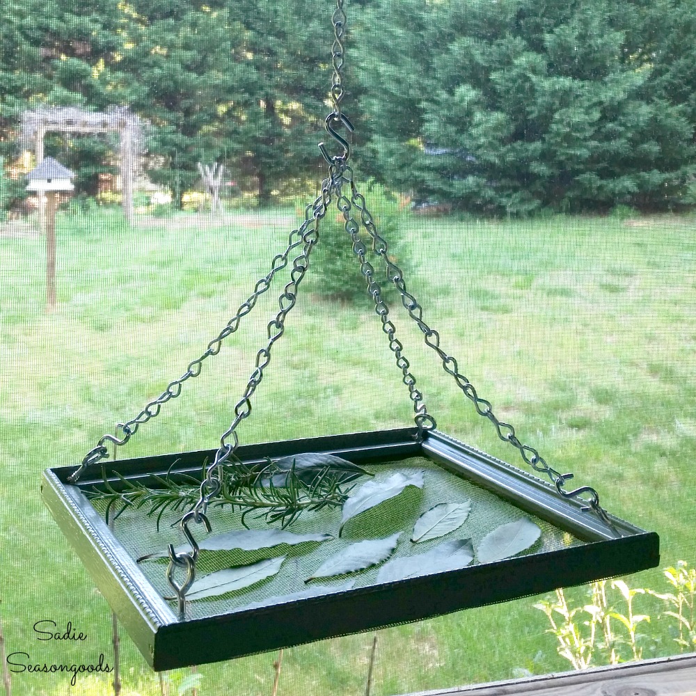 Dehydrating Herbs with an Herb Drying Rack made by Upcycling a Picture Frame