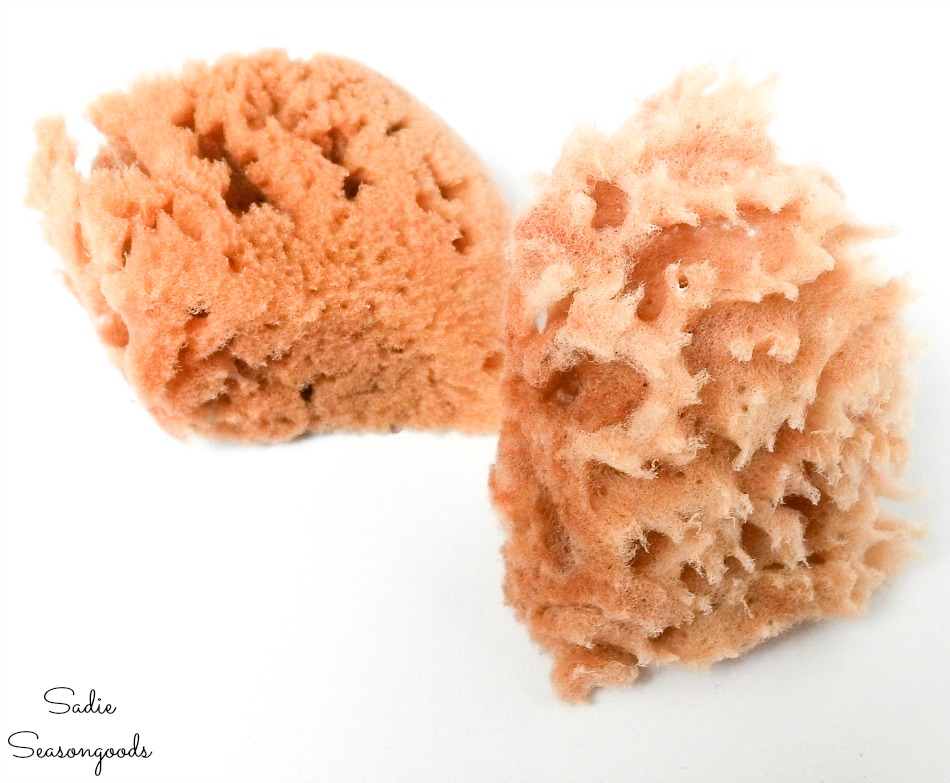 Natural sea sponges from the craft store for craft painting