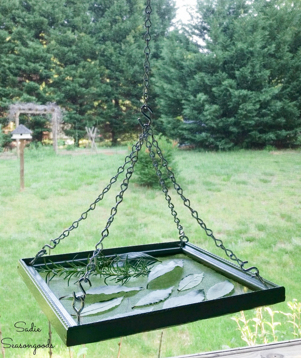 Upcycled picture frame as an herb drying rack