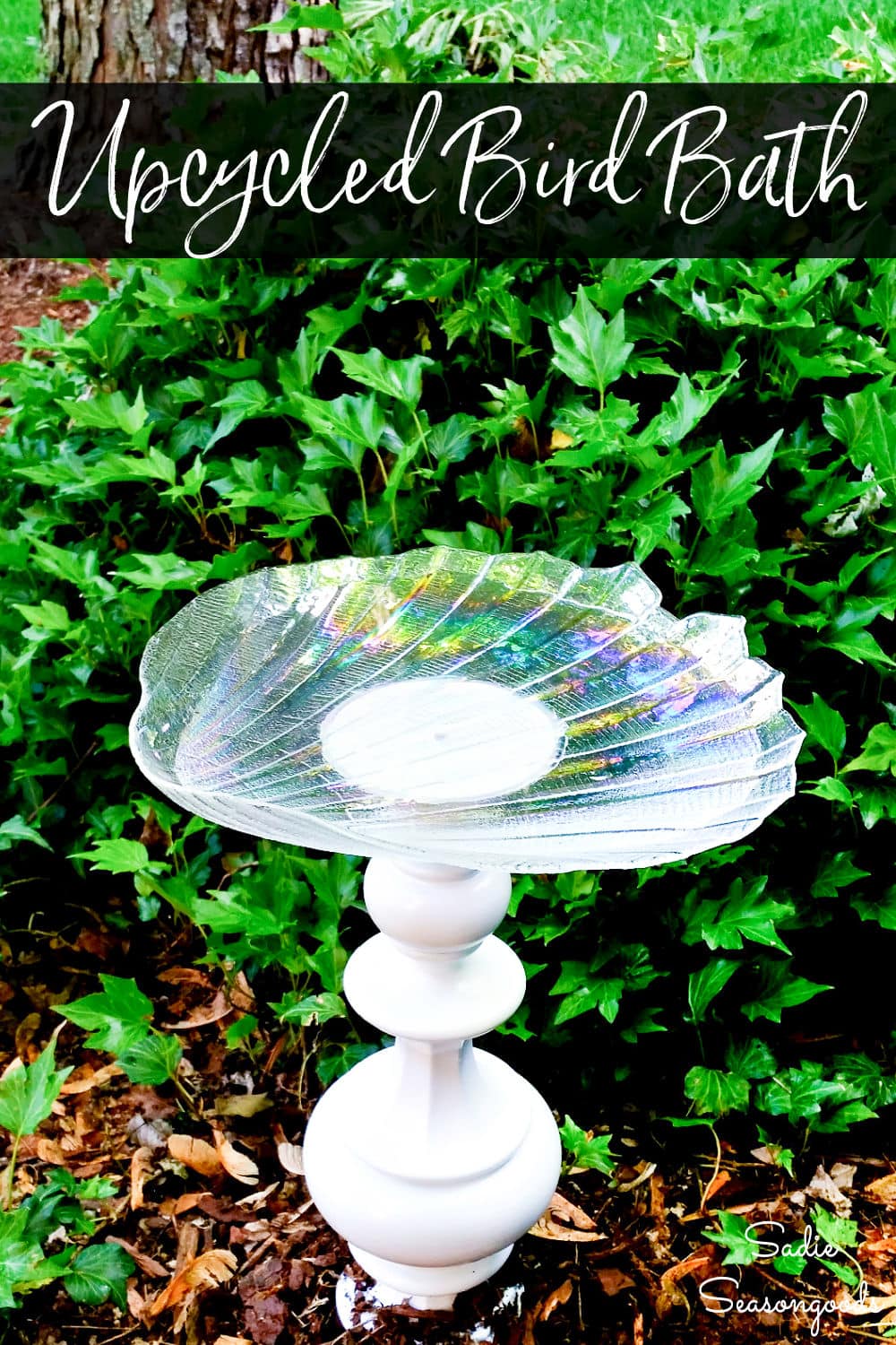 glass plate bird bath