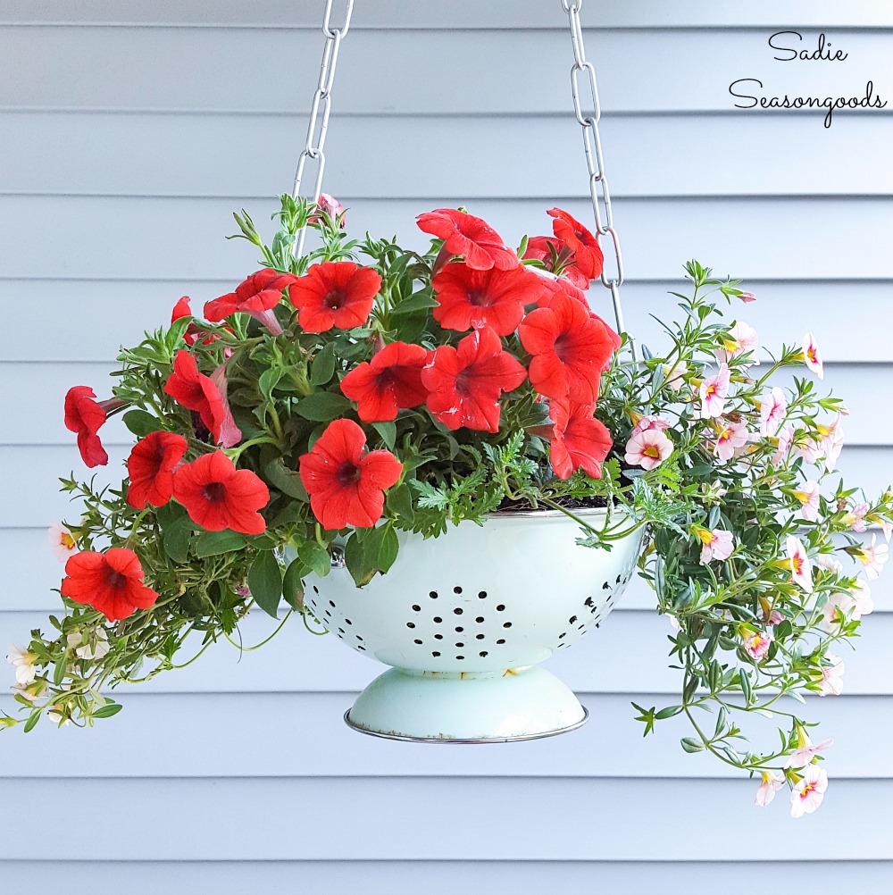 Upcycling an Enamel Colander as an Outdoor Hanging Basket