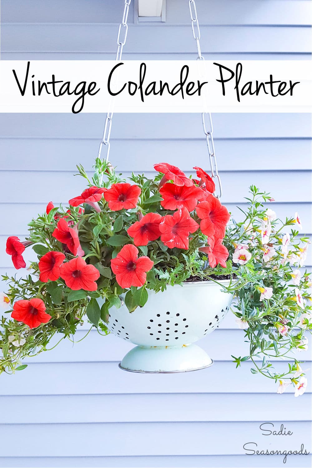 Colander planter