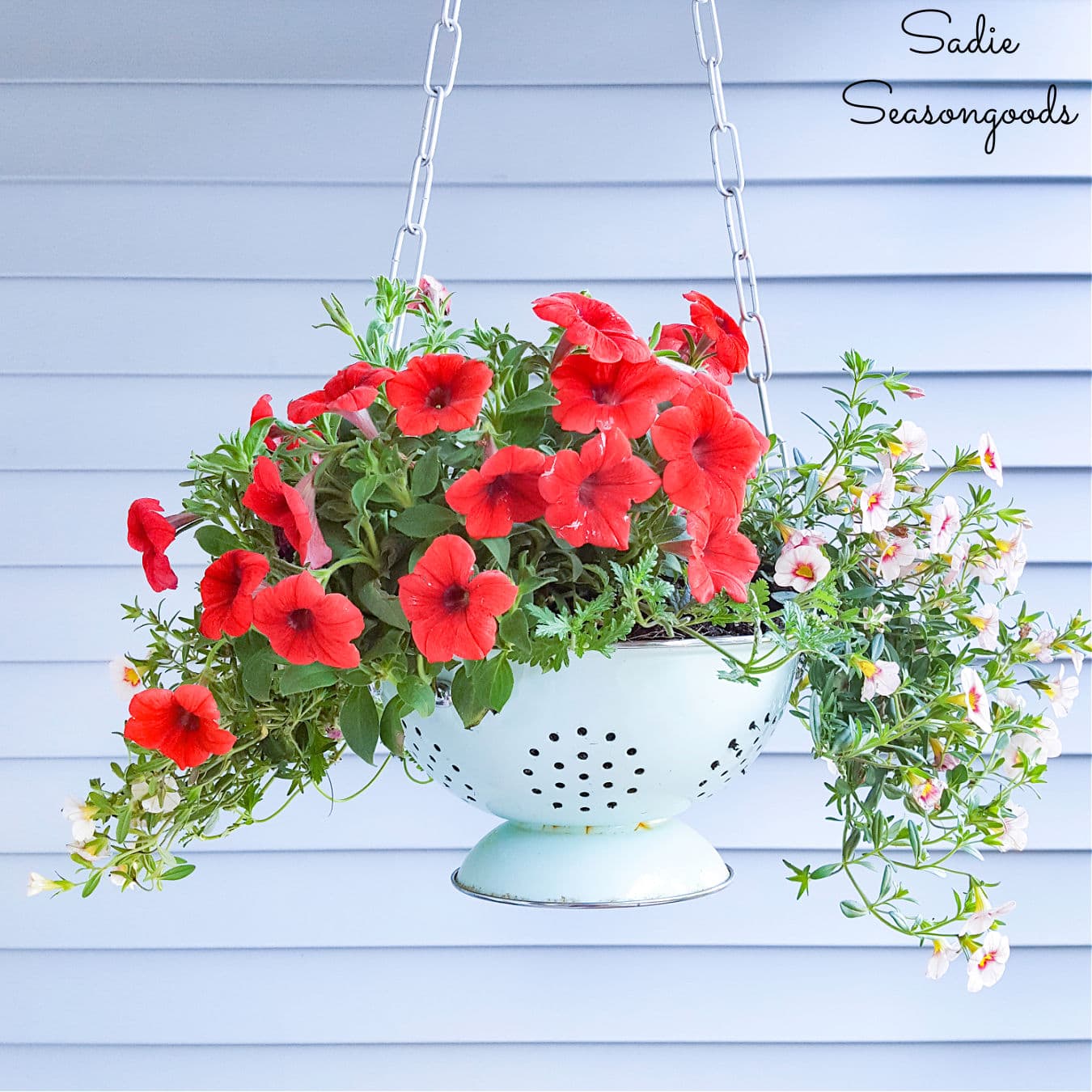 Enamel colander as a hanging porch planter