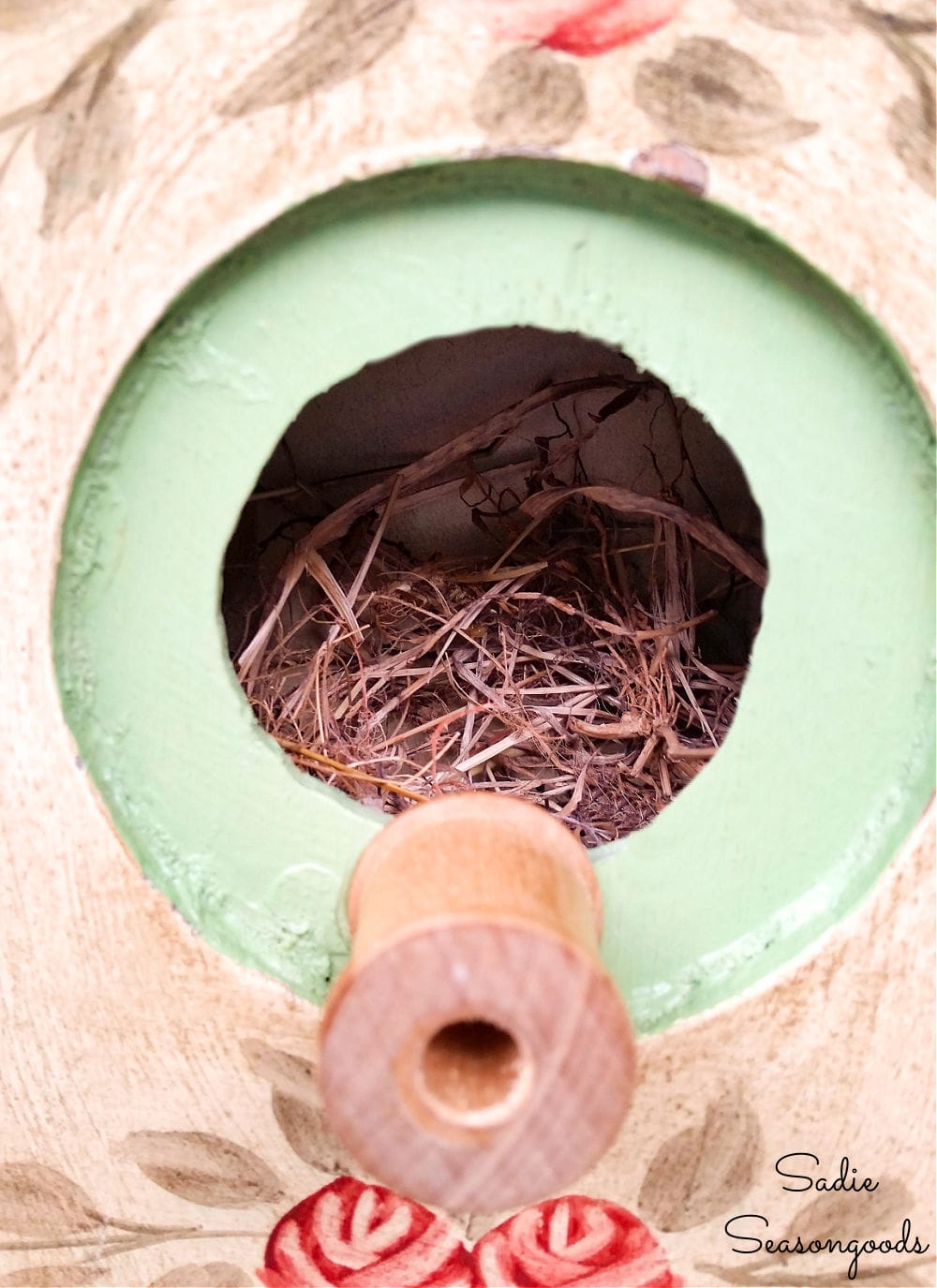 Nest inside a repurposed birdhouse