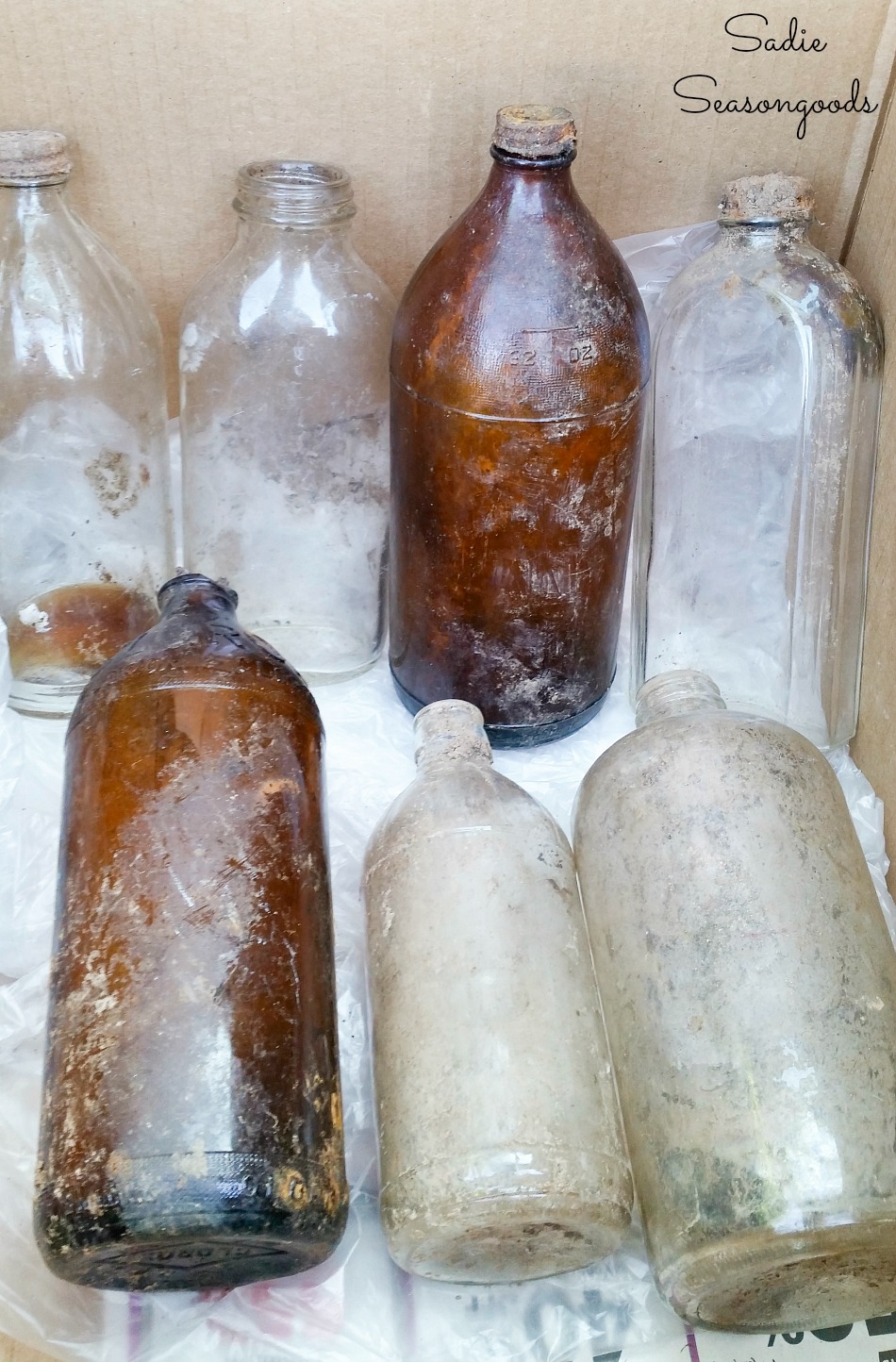 Bottle digging for old glass bottles