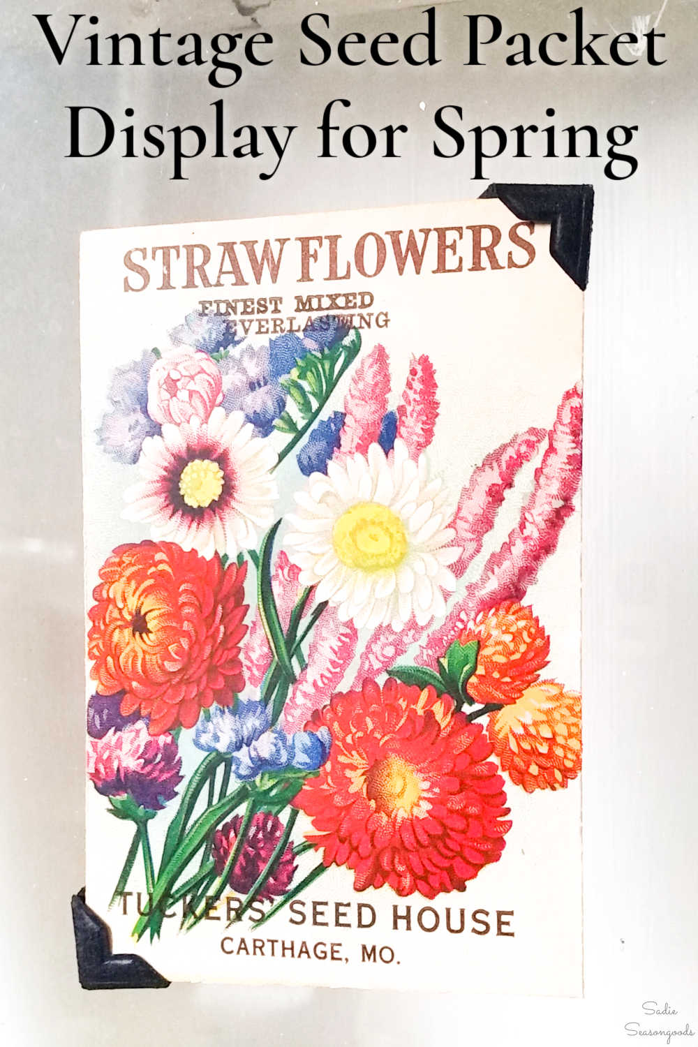how to display vintage seed packets