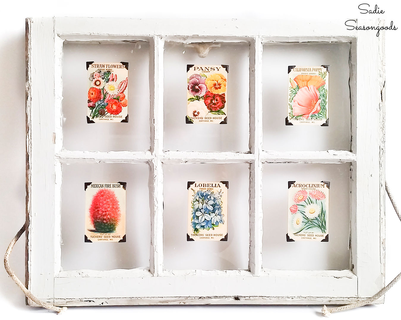 vintage seed packets in an antique window frame