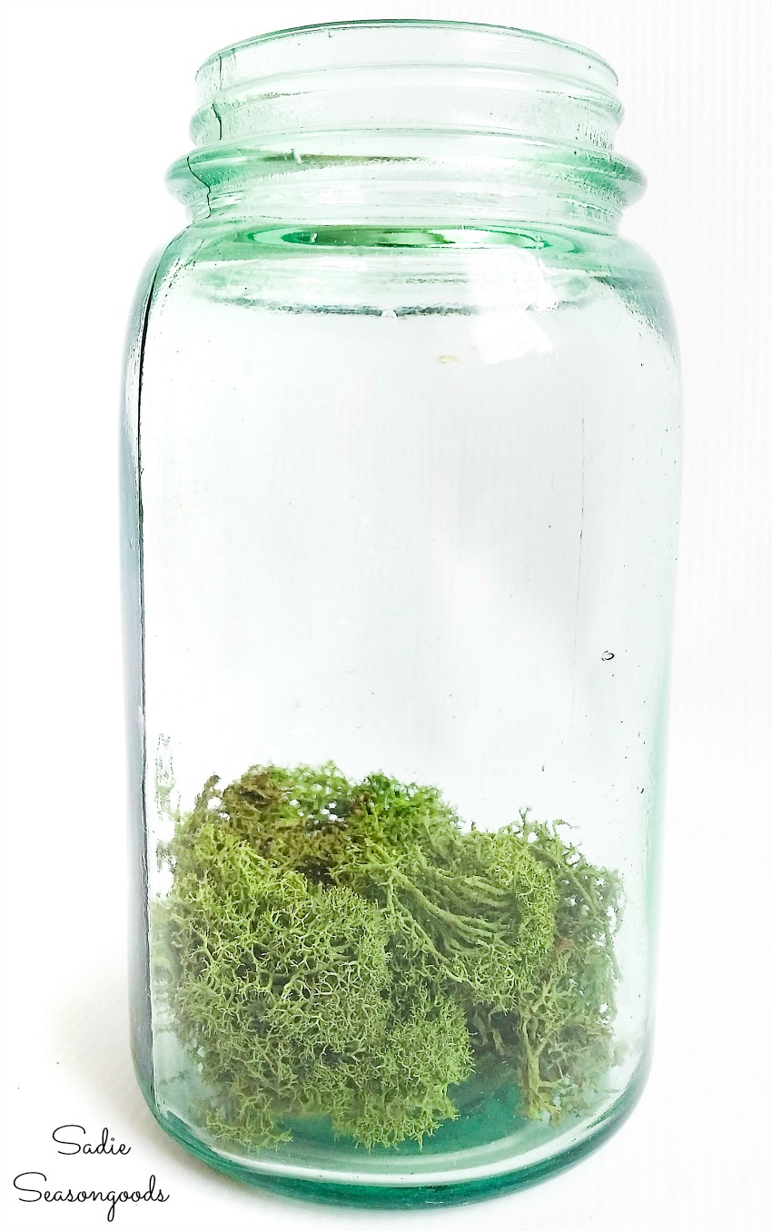 Reindeer moss as the Irish countryside in a vintage mason jar