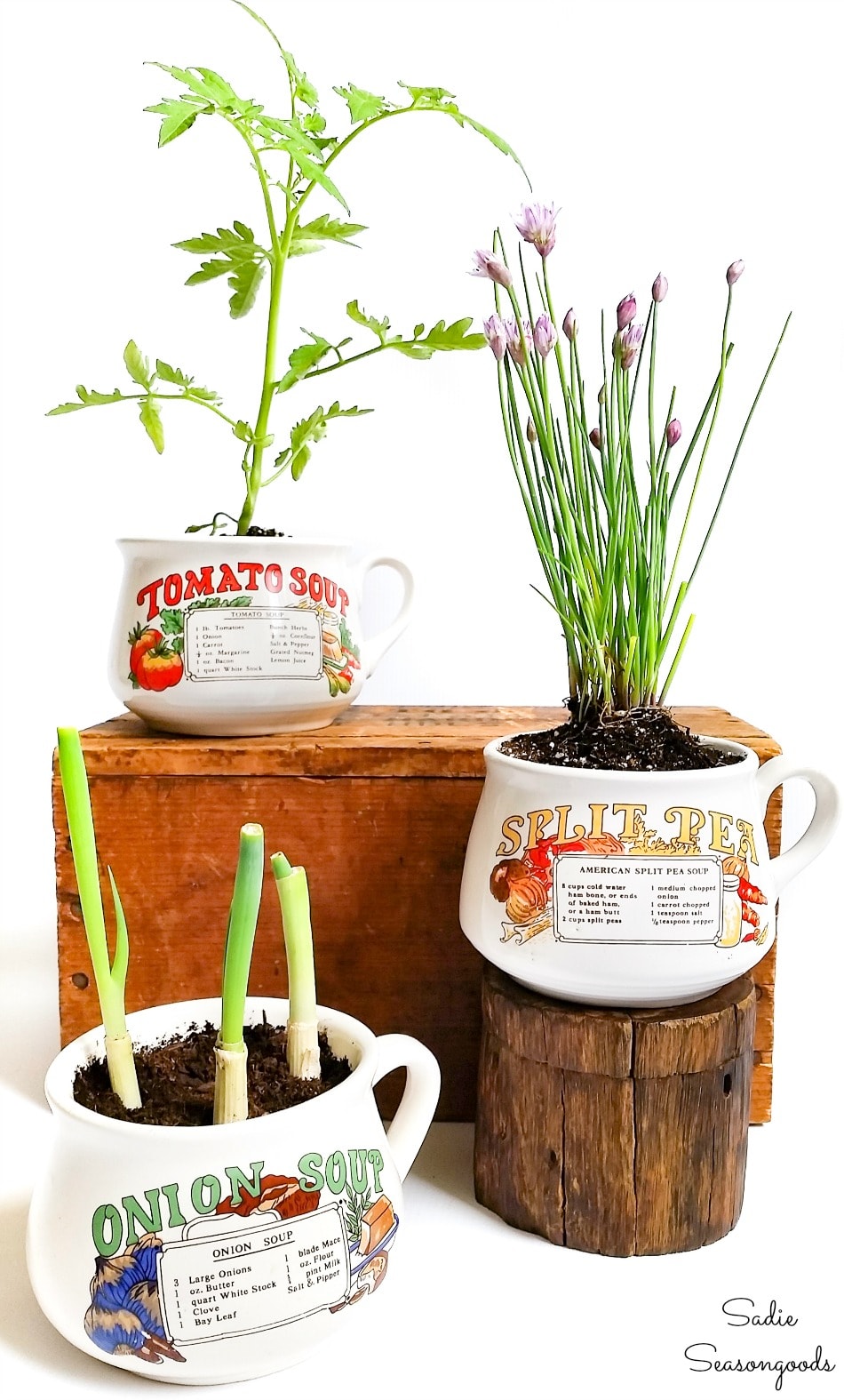 Vintage soup mugs as planters for kitchen herbs