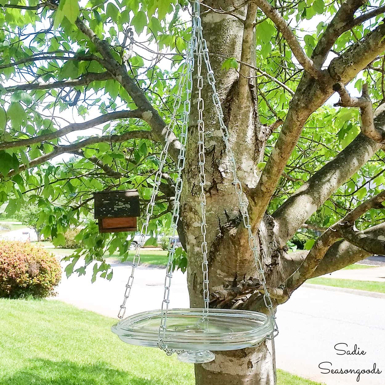 diy hanging bird bath