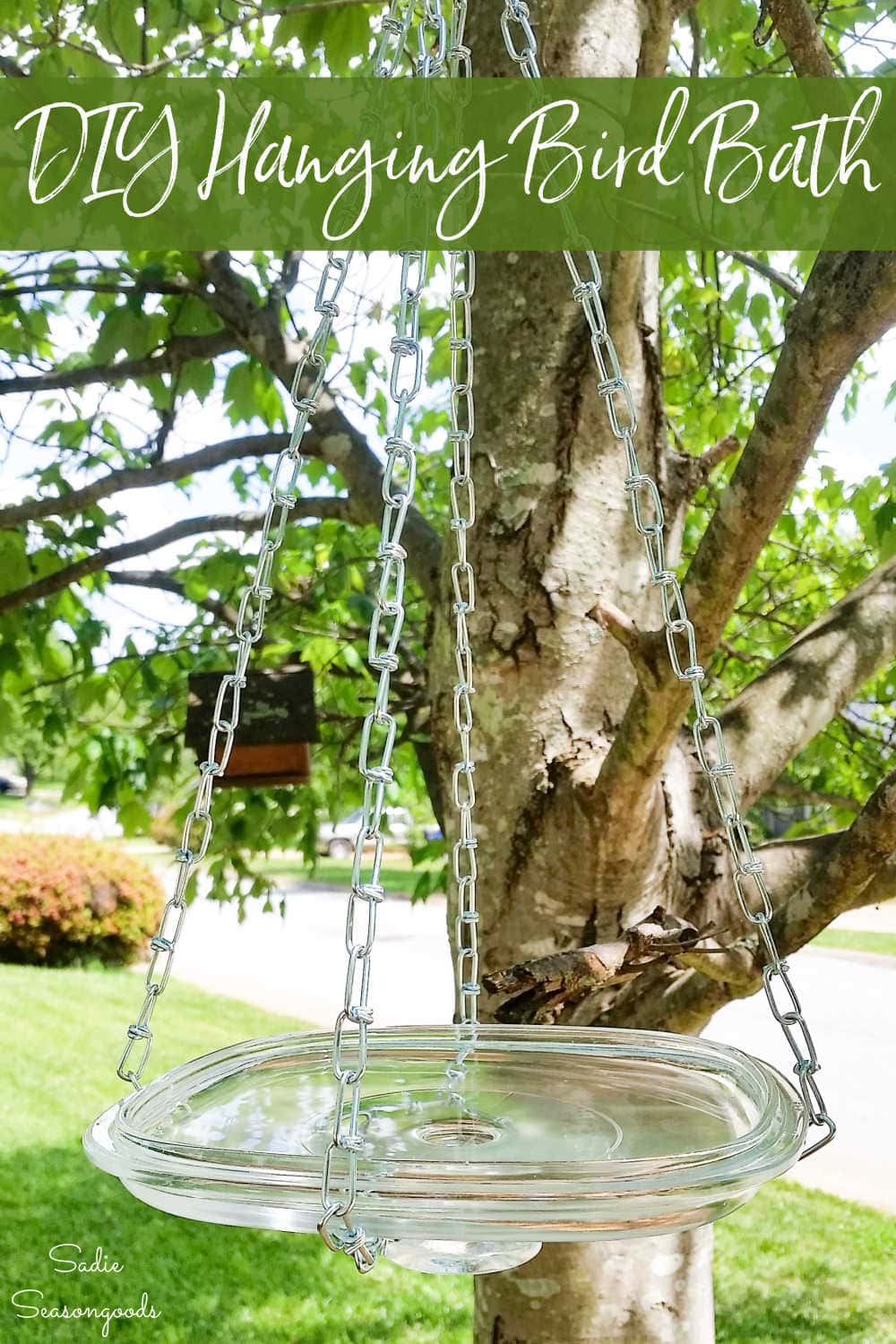 hanging bird waterer