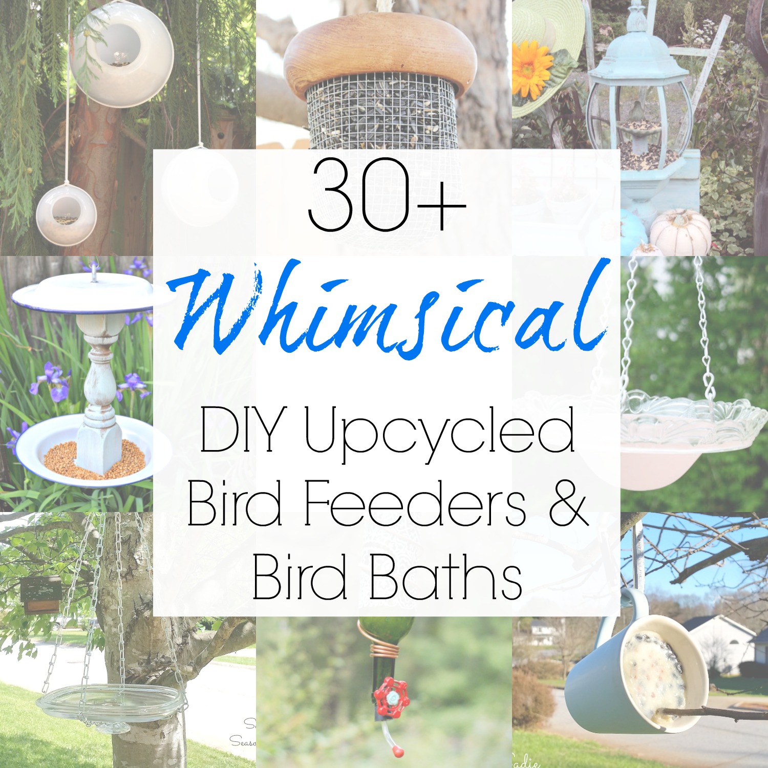 Amazing upcycling ideas for DIY bird bath and the best bird feeders made from repurposed materials for your bird feeder pole