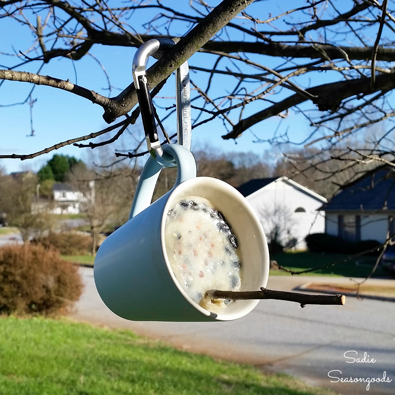 Suet Feeder in a Coffee Mug