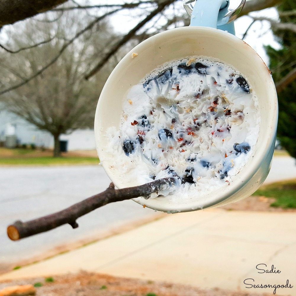 Suet bird feeder with the homemade bird suet in a coffee mug from the thrift shop