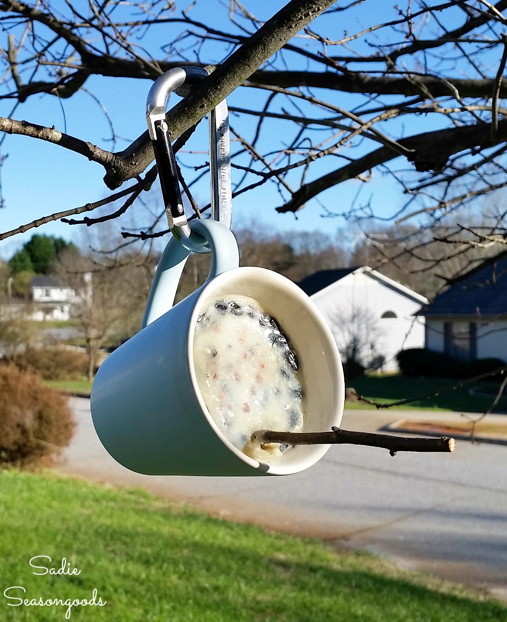 Suet feeder with homemade bird suet as a DIY bird feeder in a coffee mug from the thrift store