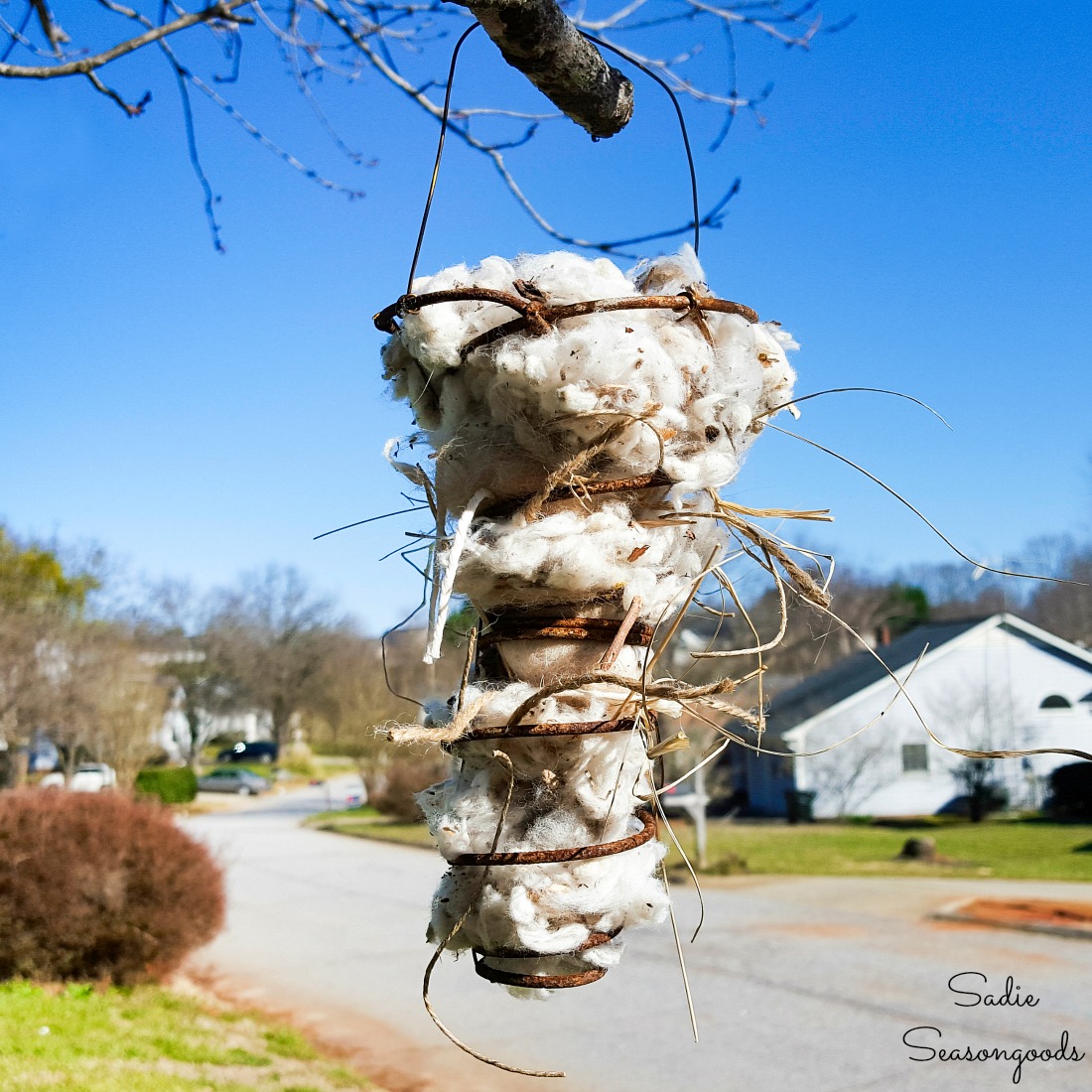 Bird Nesting Material in a Rusty Spring