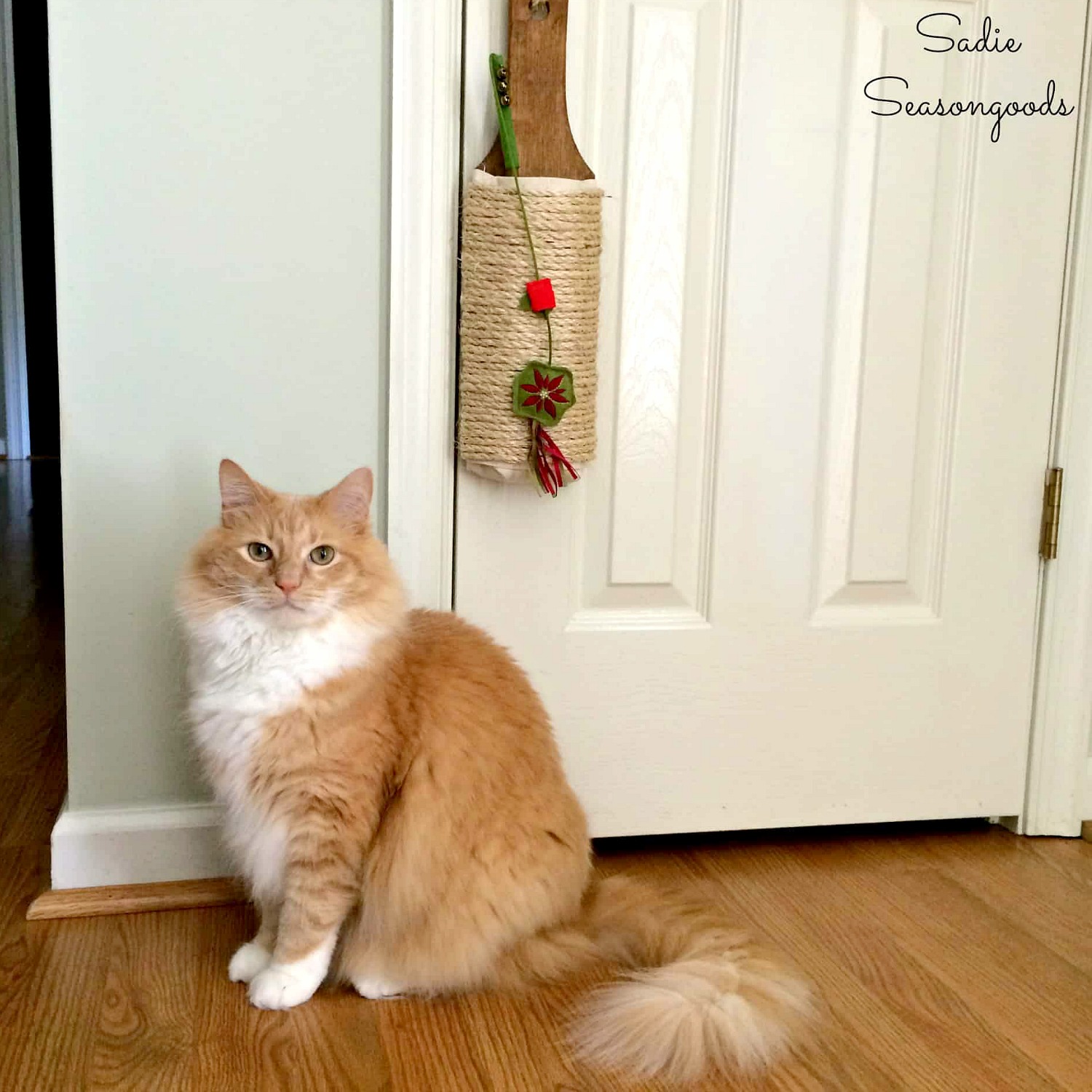 door knob cat scratcher