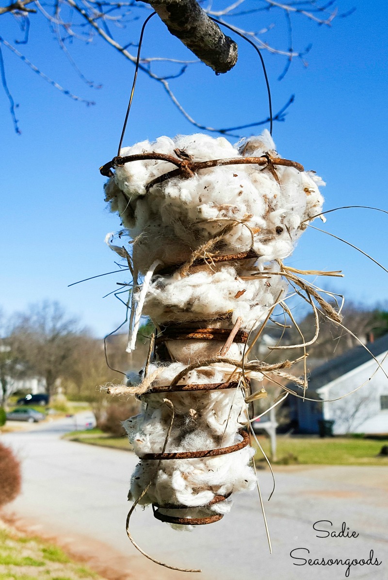 Metal bed springs that have been upcycled into a holder for nesting material