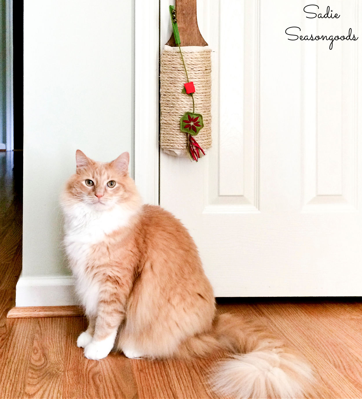 diy cat scratcher from an antique cheese grater