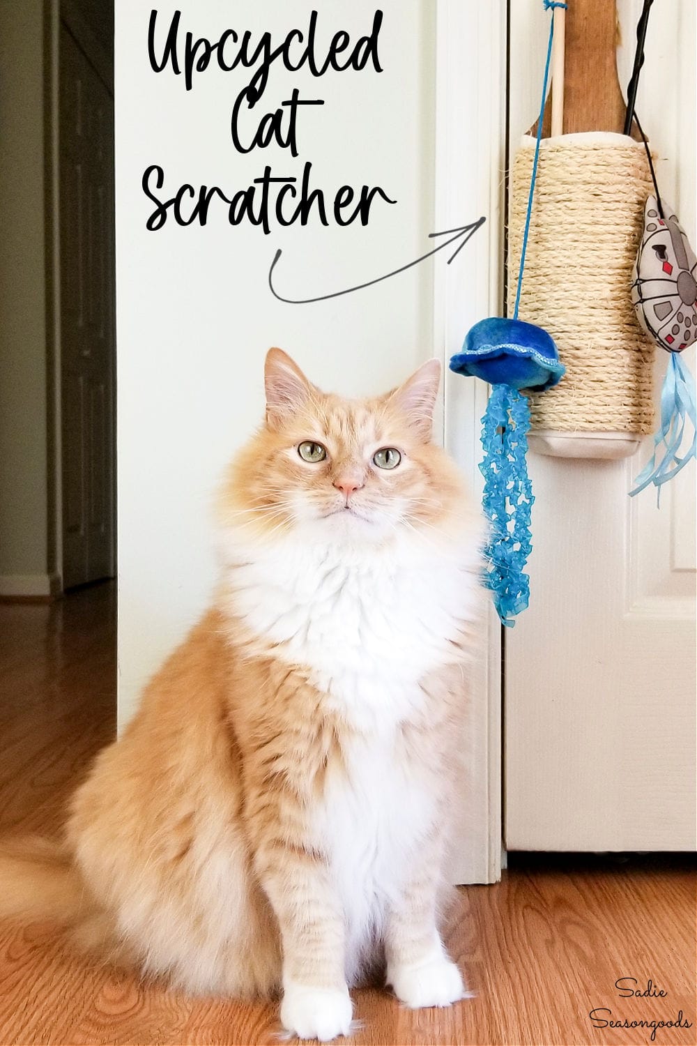 hanging cat scratcher from a vintage cheese grater