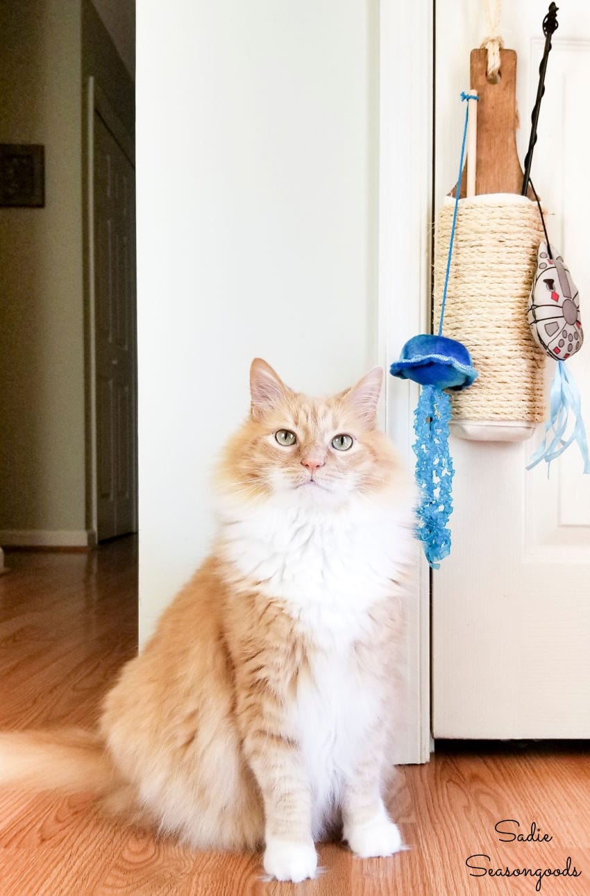 hanging cat scratcher