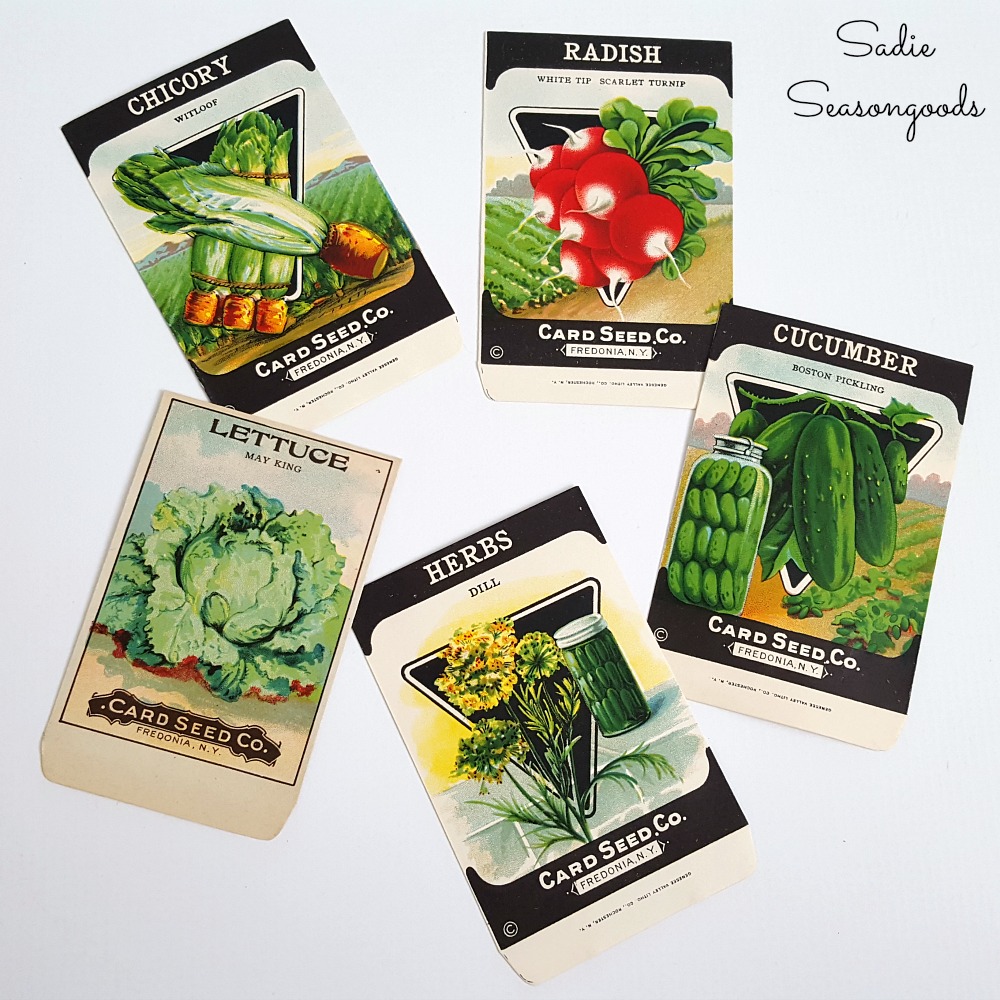 Vintage seed packets to be upcycled into vegetable art or decor for a country kitchen or garden kitchen by Sadie Seasongoods / www.sadieseasongoods.com