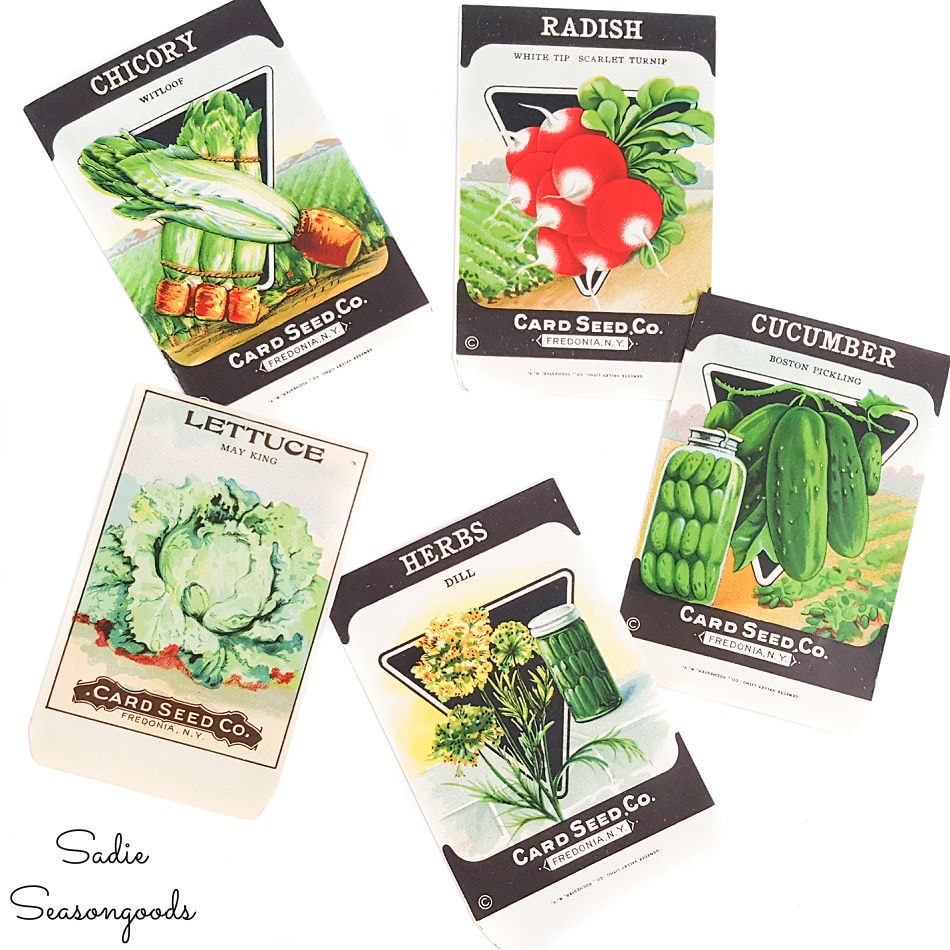 old seed packets