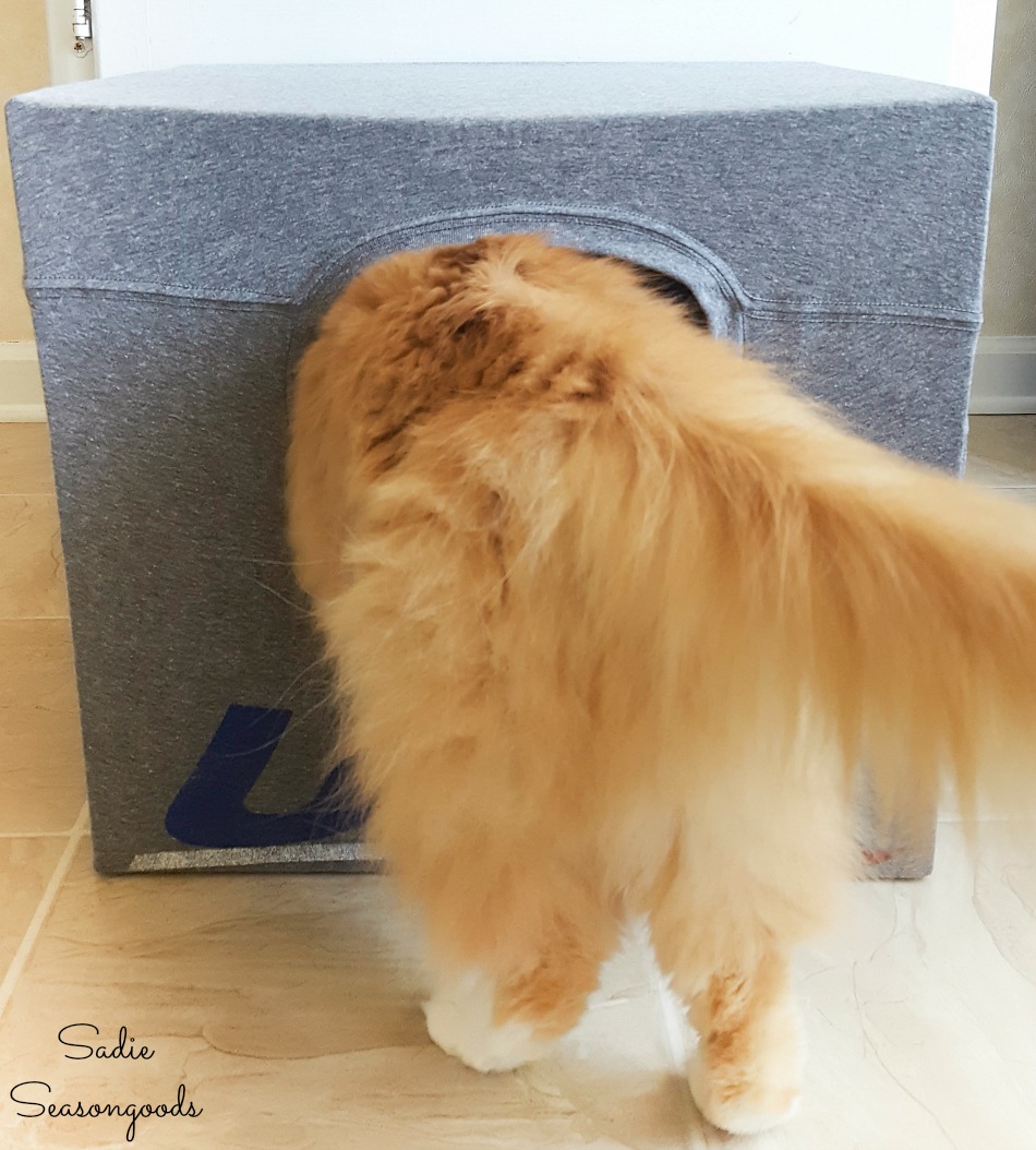 Cottonball cat in a DIY cat cave with a recycled t-shirt