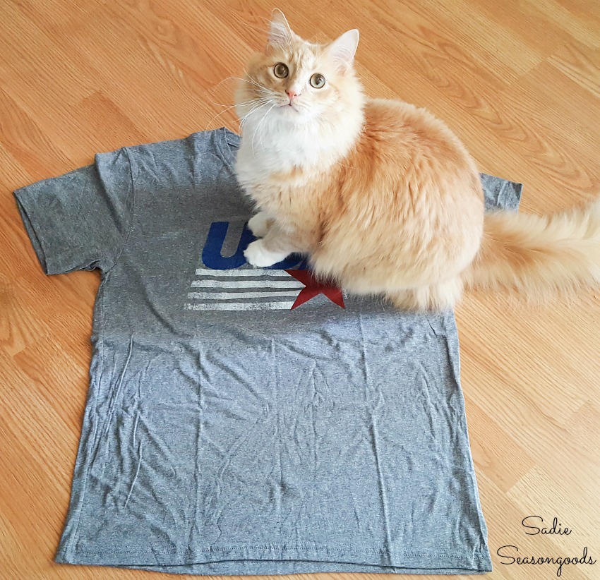 USA t-shirt from Tipsy Elves to be used for a DIY cat cave