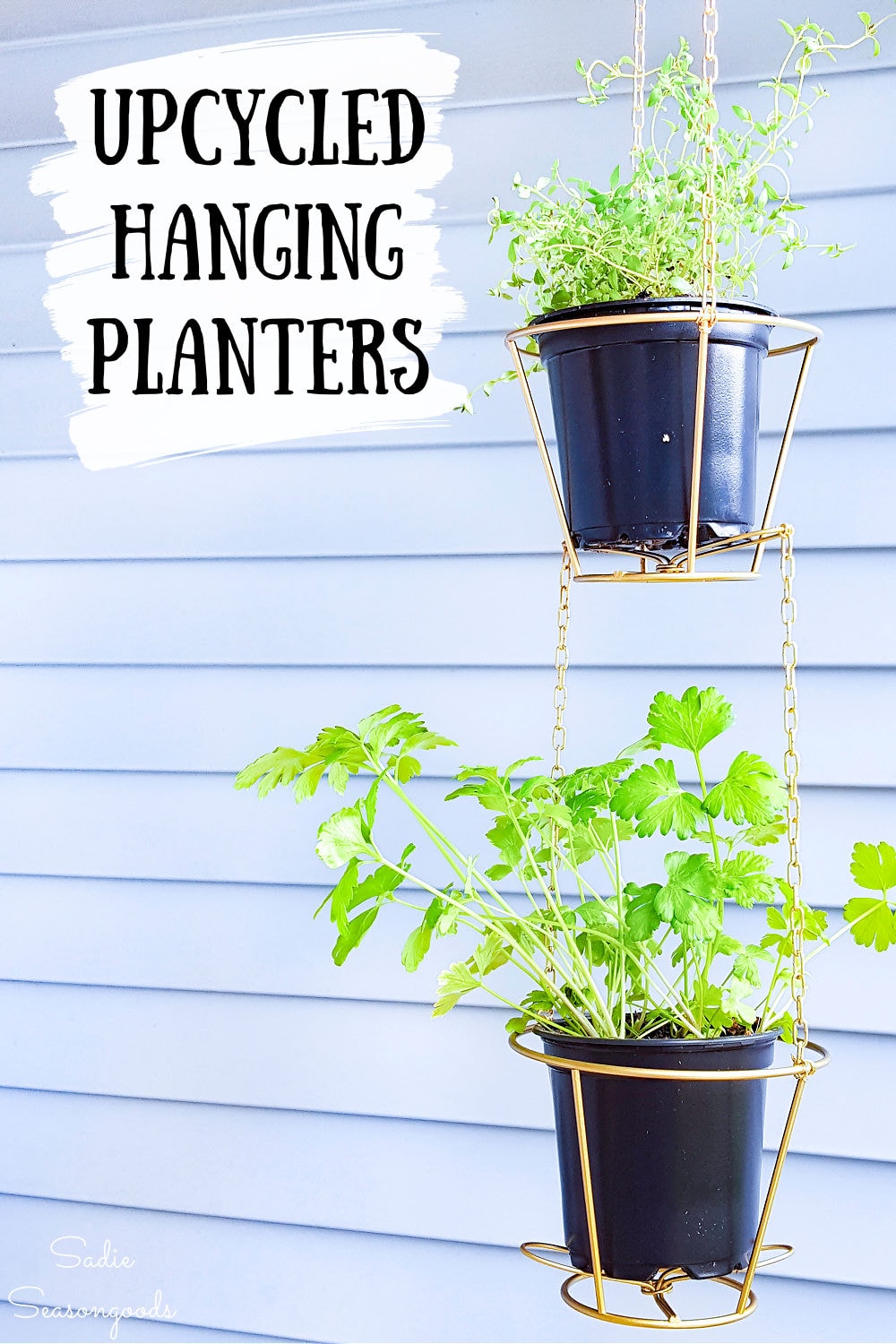 herb hanging baskets from wire lampshade frames