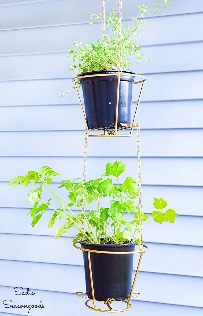 lampshade frames as hanging baskets