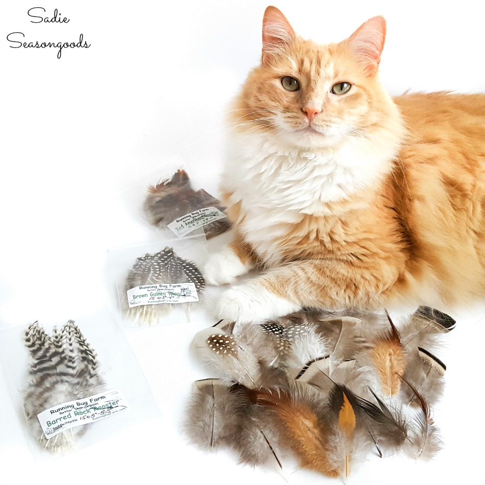Humane feathers or cruelty free feathers for craft projects