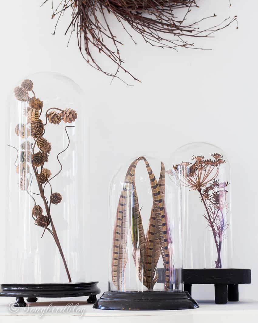 decorating for fall with dried flowers and feathers