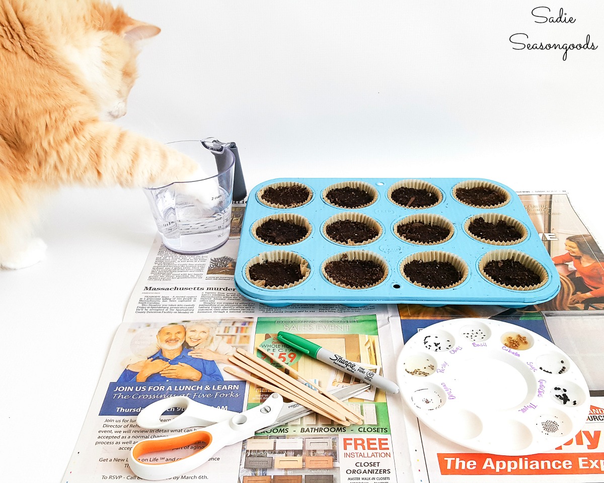 Propagation tray by upcycling a muffin pan as seed pots