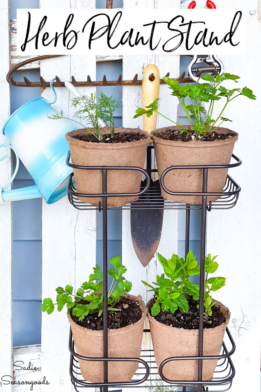 Standing herb planter from a shower caddy