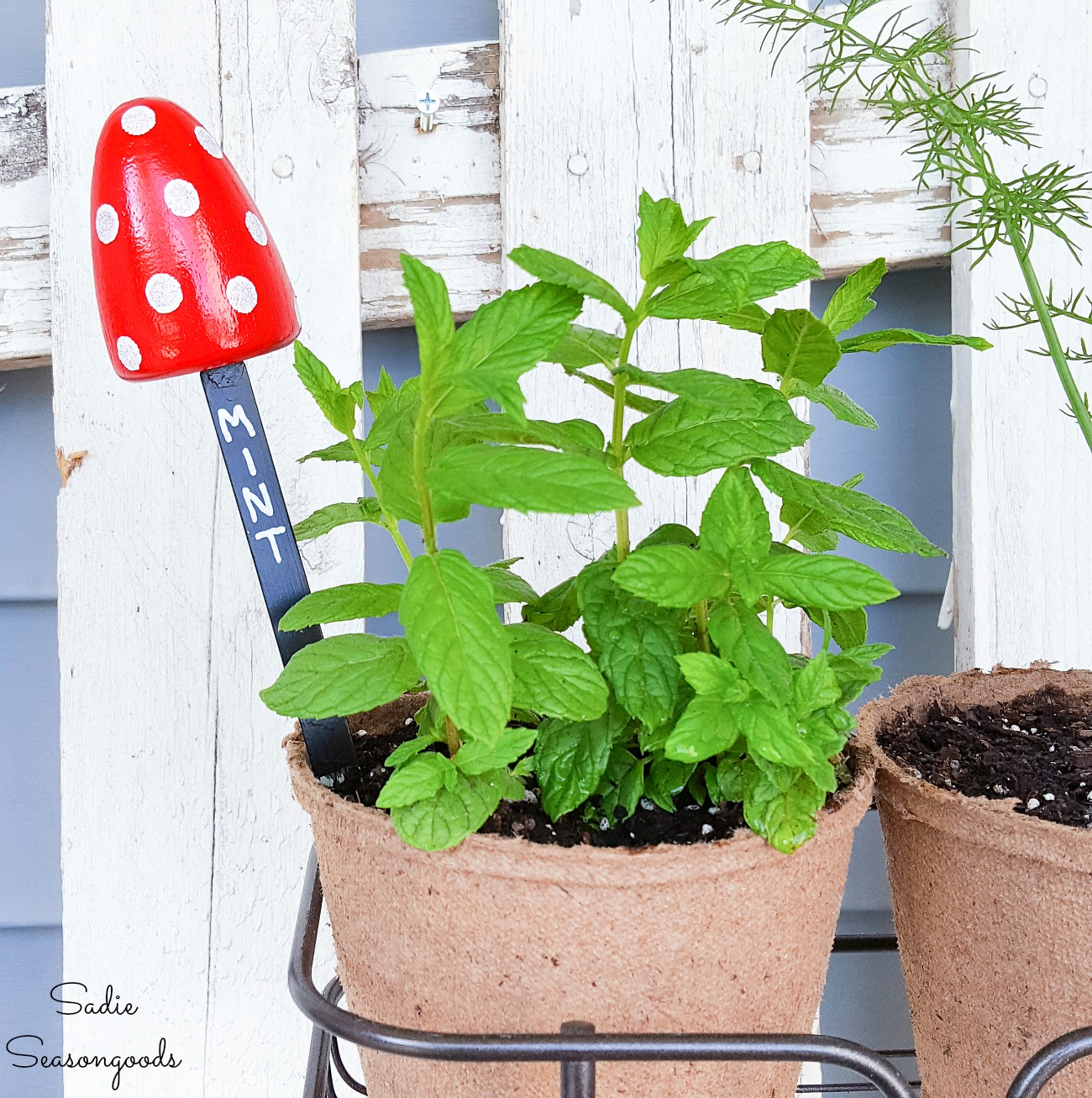 Plant markers and mushroom garden ornaments from shoe stretchers
