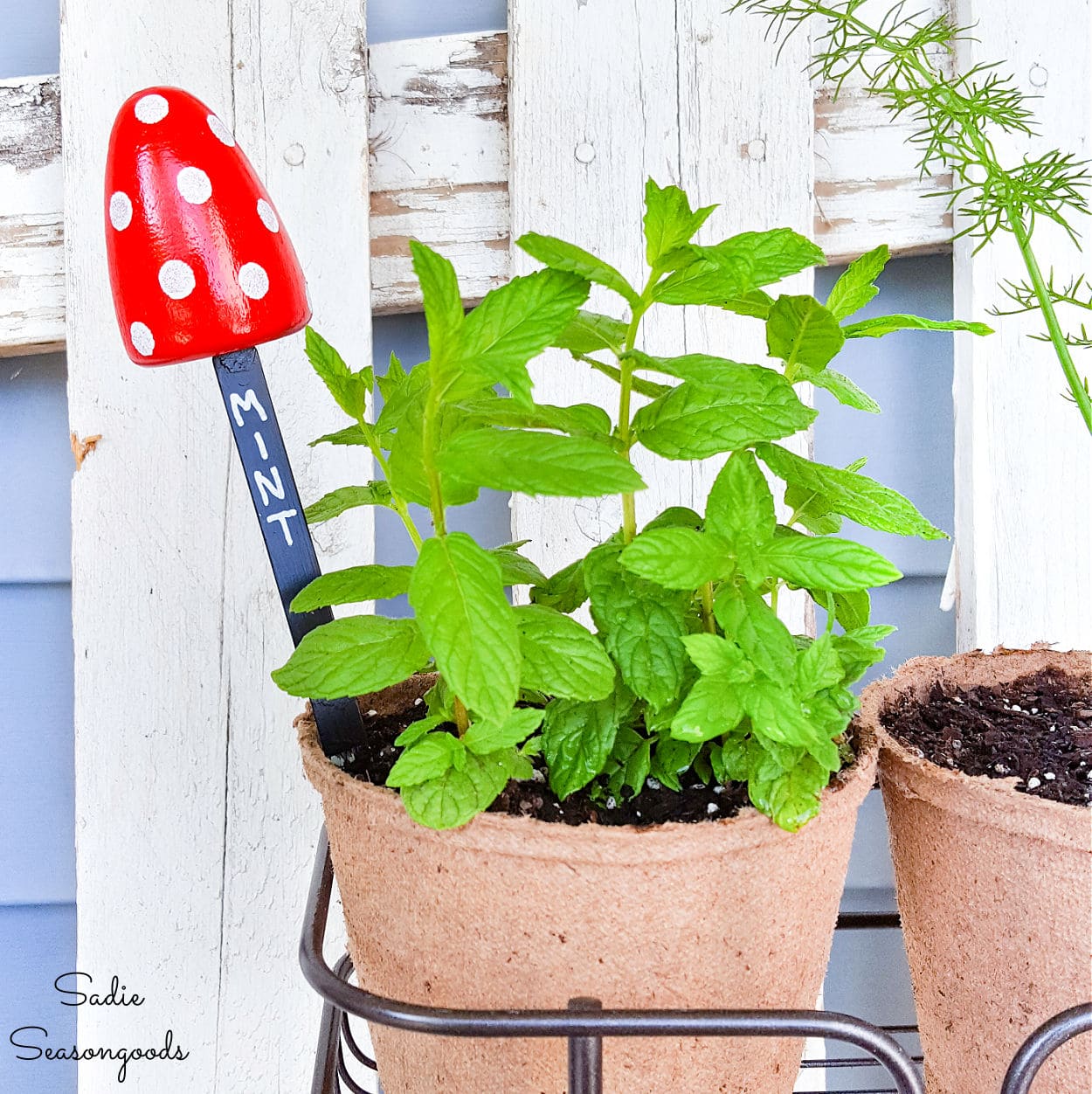 DIY Plant Markers from Vintage Shoe Trees