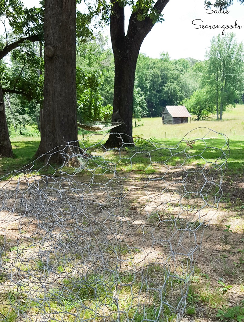 Chicken wire from a farm to attach to an antique washboard