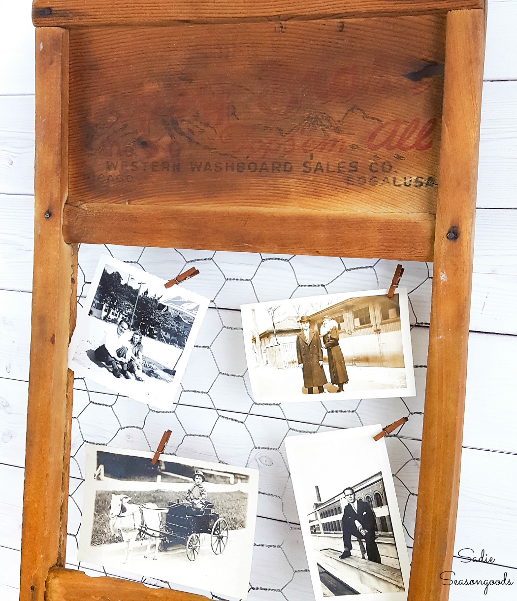 Old photographs that have been clipped to a chicken wire frame in an old washboard