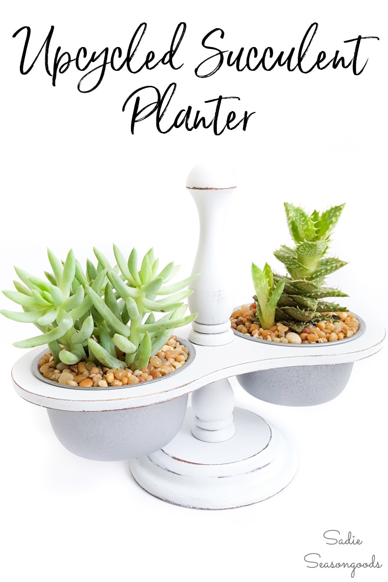 Mini succulent pots from a vintage condiment caddy