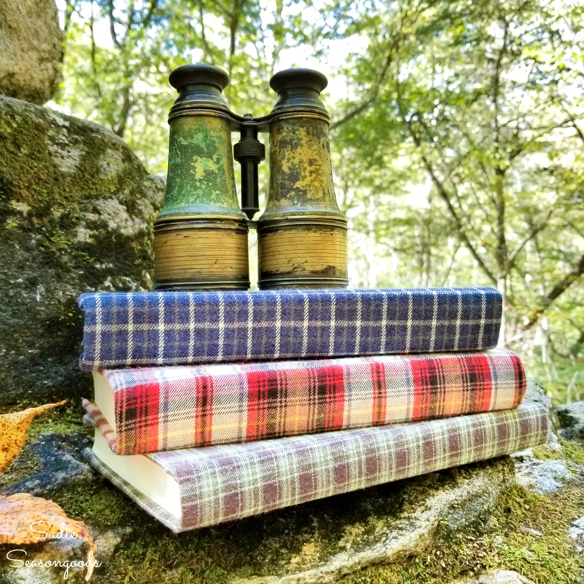 Book Decor for a Cozy Home with Flannel Shirts