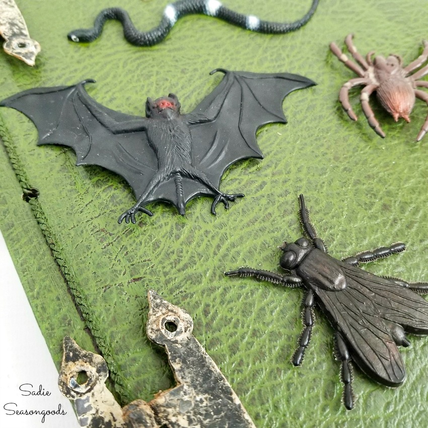 Halloween book decor with rubber bats and snakes