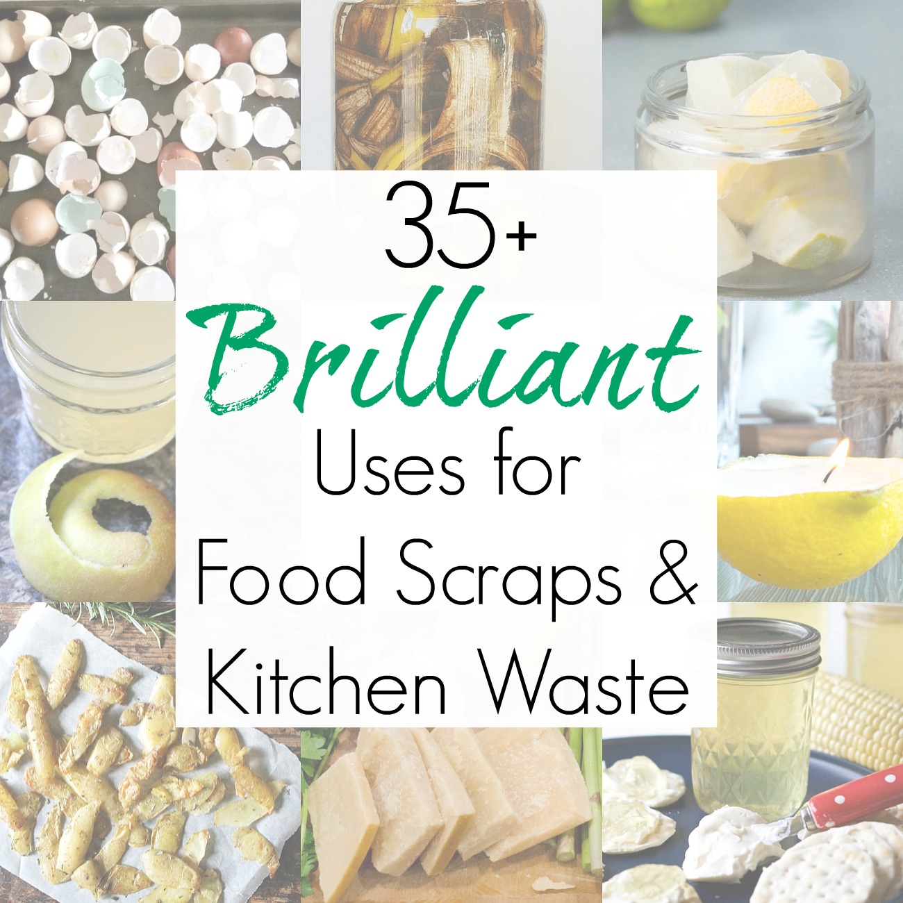 Clever ways to use food scraps and kitchen waste as well as food waste solutions