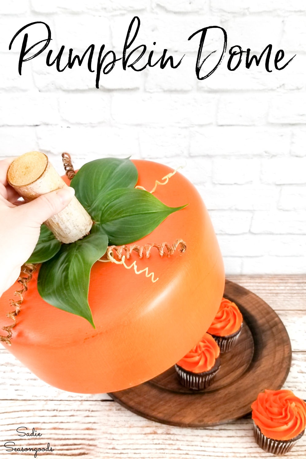 cake dome and pumpkin decor